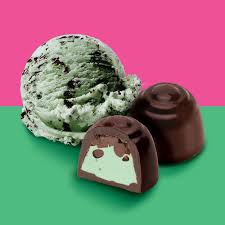 Frankford Baskin Robbins Chocolate Mint Choco Chip 5oz