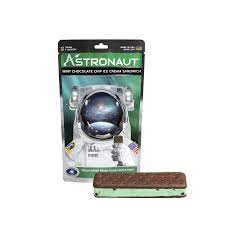 Astronaut Mint Chocolate Chip Ice Cream Sandwich