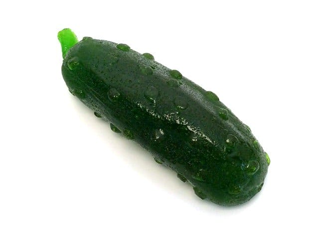 Giant Gummy Pickle